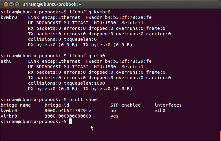 Linux Bridge Interface Config Sample